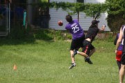 OTFL Gallery Image